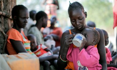 El plan de Italia para ayudar a Ucrania a vender sus granos y evitar una crisis alimentaria