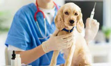 Rivadavia hará una campaña de vacunación para mascotas