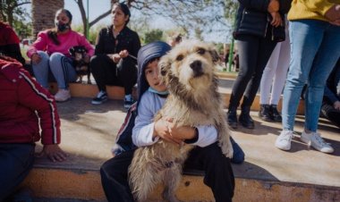 El quirófano de esterilización llega al barrio Camus