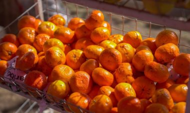 Conocé los precios máximos de referencia en frutas y verduras de septiembre