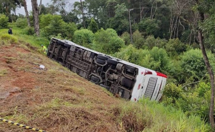 7 muertos al volcar un colectivo en Brasil: hay 2 argentinos entre las víctimas