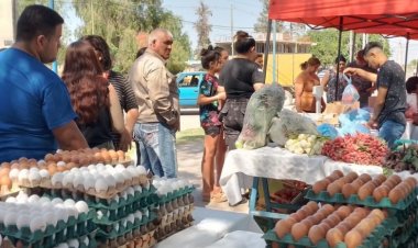 Vuelve el camión de frutas y verduras a las calles de San Juan