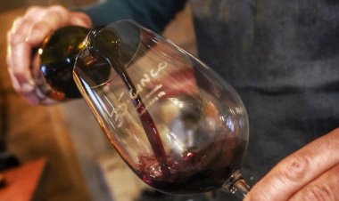 Viví la Noche de las Vinotecas