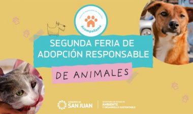 Por el día del animal se realizará una Feria de Adopción de Mascotas