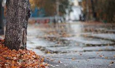 Alertas por fuertes ráfagas de viento sur. Lluvia?