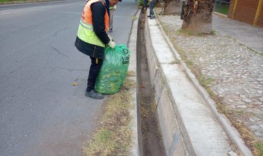 La planificación semanal de limpieza en Capital