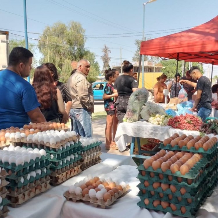 Vuelve el camión de frutas y verduras a las calles de San Juan