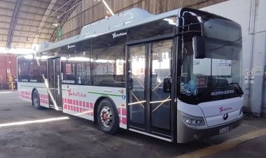 El transporte este martes será normal