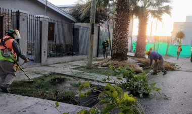 Mirá en qué zonas de Capital levantarán escombros