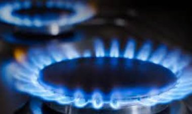 Salud Pública emite recomendaciones para evitar intoxicaciones