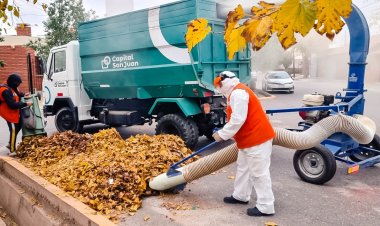 Oso hormiguero: "la máquina que se suma a los operativos de limpieza de Capital"