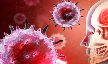 Alerta por el aumento de casos de meningitis en la Argentina