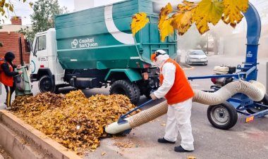 Capital: más de 20 mil kilos de hojas secas y trituradas para compost