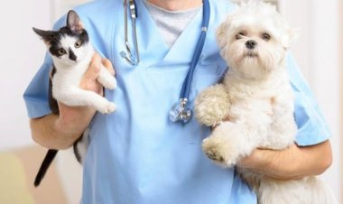 Llega a 25 de Mayo el trailer de Esterilización de mascotas