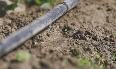 San Juan entregó 91 % de los créditos solicitados