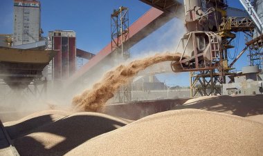 Massa prorrogó el "dólar soja" hasta el 20 de octubre