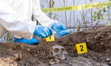 Cronograma para cubrir Interinatos y Suplencias en la Tecnicatura Superior en Criminalística