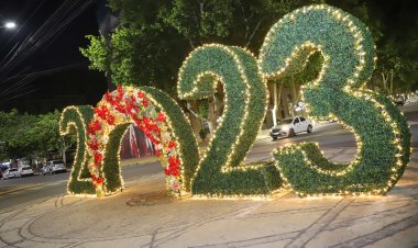 Así funcionarán los servicios en Capital durante el feriado del 8