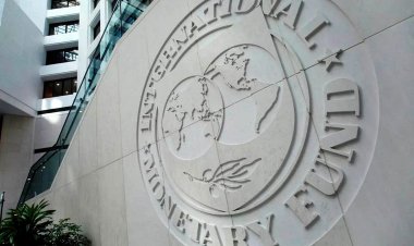 El FMI reclama a Milei un "plan de estabilización fuerte y creíble"