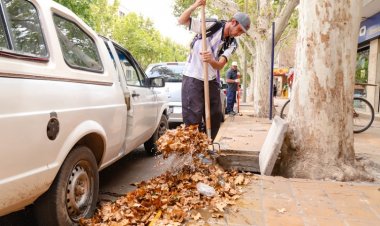 Conoce la planificación semanal de limpieza en Capital