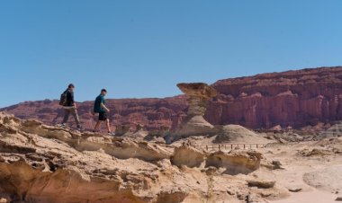 Ischigualasto: conoce los beneficios para los sanjuaninos