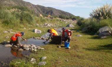 Comenzó la recolección de semillas para el Vivero de Plantas Nativas