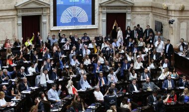 Diputados inicia el debate en particular de la ley ómnibus
