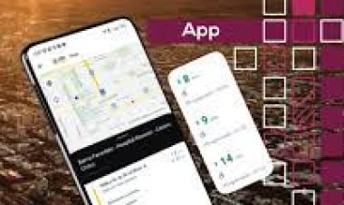 Por altos costos la Red Tulum cambiará de aplicación