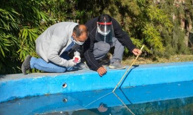 Los casos de dengue subieron un 2500% en la Argentina