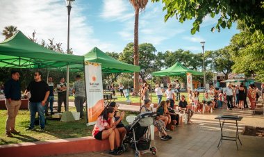 Ambiente esterilizó a más de 80 perros y gatos en Capital