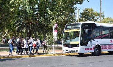Estudiantes y docentes: estos son los requisitos para la credencial