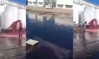 Mendoza: por un error en una bodega, se perdieron 15.000 litros de vino