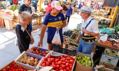 Visita la Feria Municipal y Mercado de Abasto