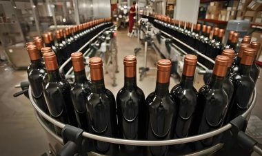 México, un destino con gran potencial para los vinos sanjuaninos