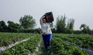 El Gobierno cerrará dos organismos públicos y despedirá a 900 empleados