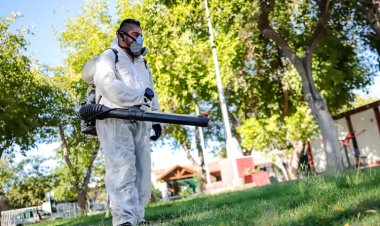 Continúa la Campaña de Prevención del Dengue en la Ciudad