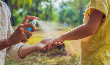 Salud anunció cuándo se normalizará la venta de repelentes