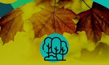 Rivadavia inicia su Operativo Integral de Arbolado 2024