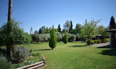 Este domingo Chimbas celebra el mes patrio con la feria *“Raíces patrias. Aromas y sabores de Chimbas”