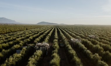 San Juan productiva se abre al mundo
