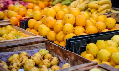 Conoce los precios de la Feria y Mercado de Abasto de la Ciudad