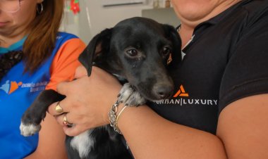 Punto Verde y cuidado de mascotas en dos importantes Parques de Chimbas 