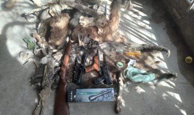 Encuentran animales autóctonos embalsamados