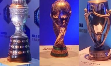 Llegan a San Juan las copas que ganó la selección Argentina en los últimos tres años