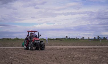 Expo Innova: en Octubre llega la feria frutihortícola más grande de Cuyo