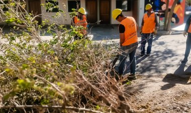 Luego del Zonda, Capital trabaja para poner en orden todos los espacios