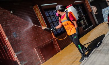 Conoce el cronograma semanal de desinsectación y desratización de la Ciudad