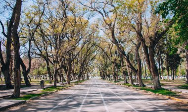 Sábado soleado, sin calor y en calma