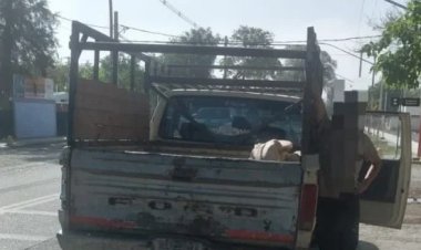 Cayeron con carne de caballo recién faenada