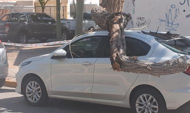 Las intensas ráfagas de viento provocan destrozos en San Juan